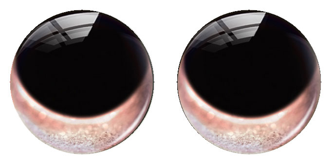 丸い手作りの瞳が揺れるラグドールおもちゃの目玉、人形の虹彩、 - Art Craft Eyes のレビューと価格