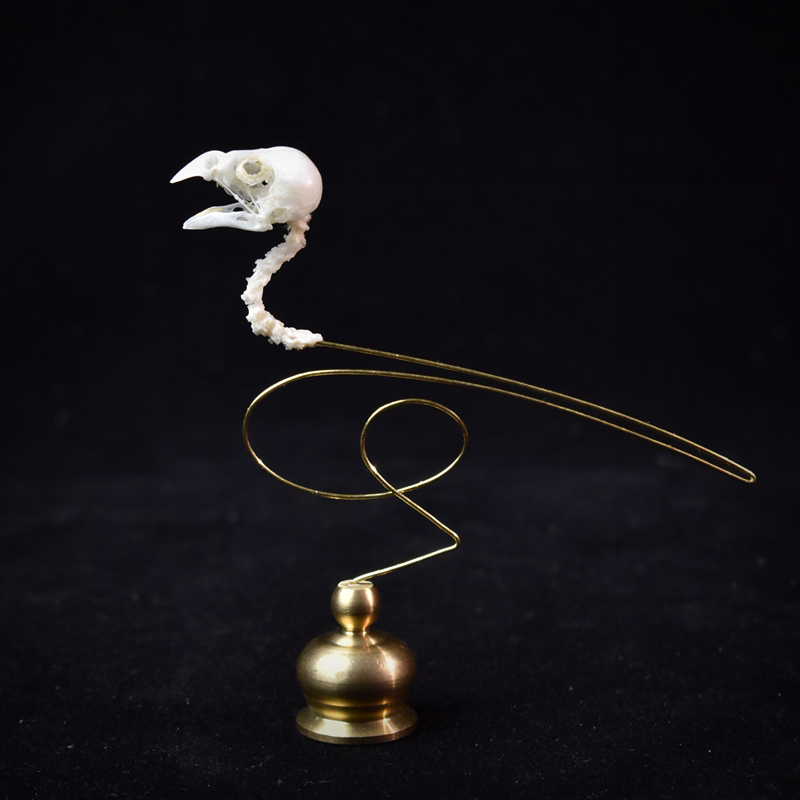 2111 ブティック エシカルバードスカルアート彫刻 銅製ア - Art Craft Museum のレビューと価格